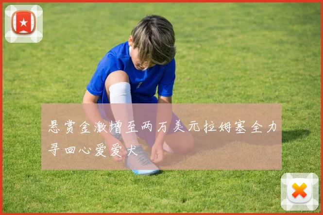 悬赏金激增至两万美元拉姆塞全力寻回心爱爱犬