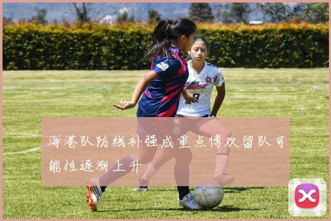 海港队防线补强成重点傅欢留队可能性逐渐上升