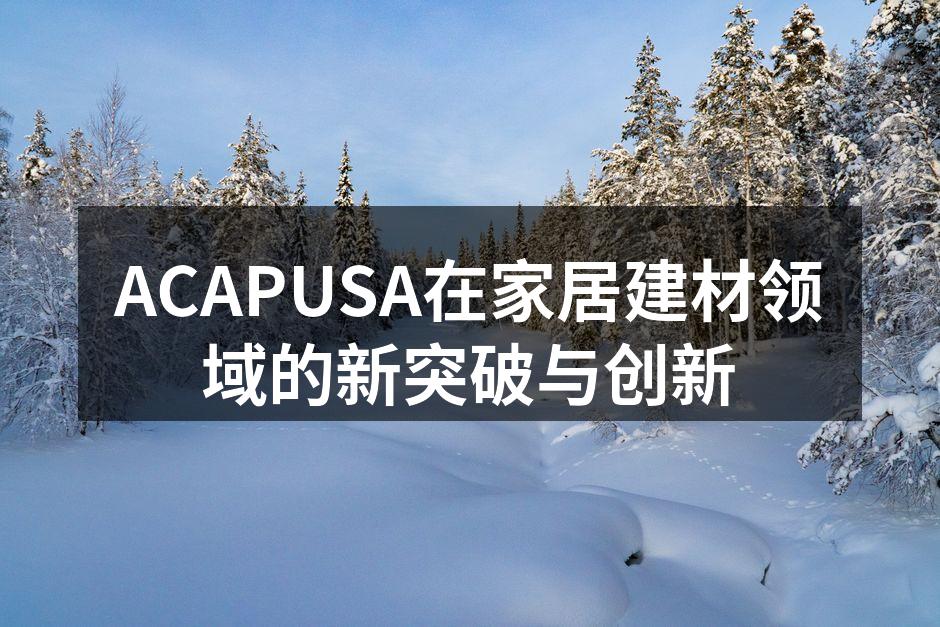 ACAPUSA新型智能沙发展示